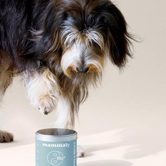 Mammaly Relax Time Entspannungs-Snacks Nahrungsergänzungsmittel für Hunde