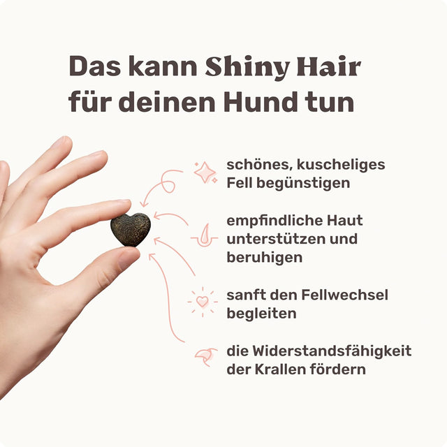 Mammaly Shiny Hair Fellpflege-Snacks Nahrungsergänzungsmittel für Hunde