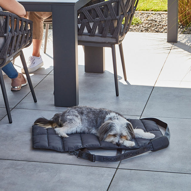 MiaCara Reisedecke Strada, Asphalt Hundedecke