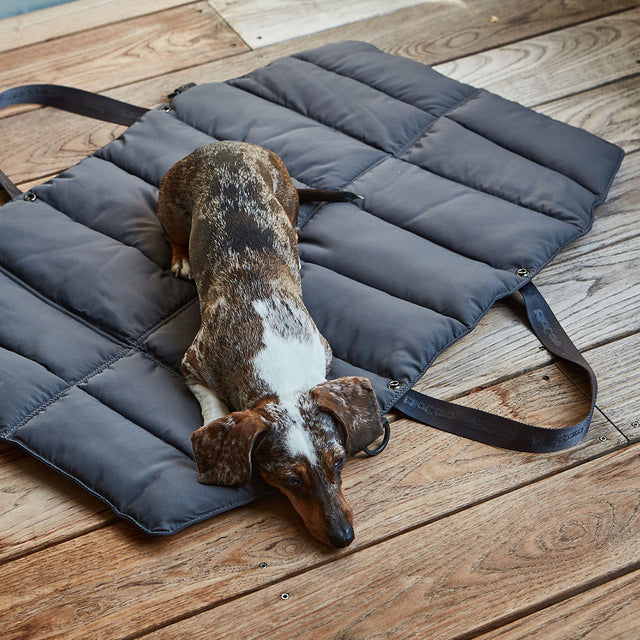 MiaCara Reisedecke Strada, Asphalt Hundedecke