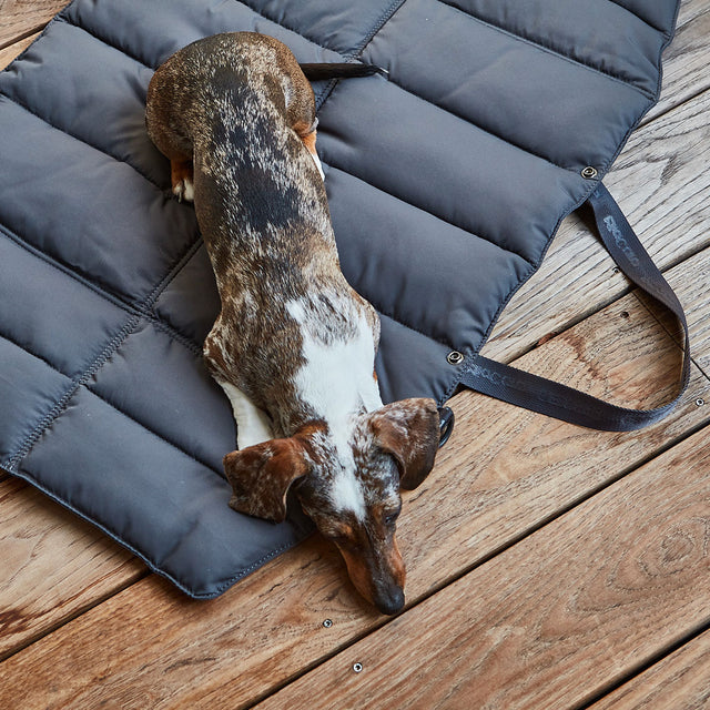 MiaCara Reisedecke Strada, Asphalt Hundedecke