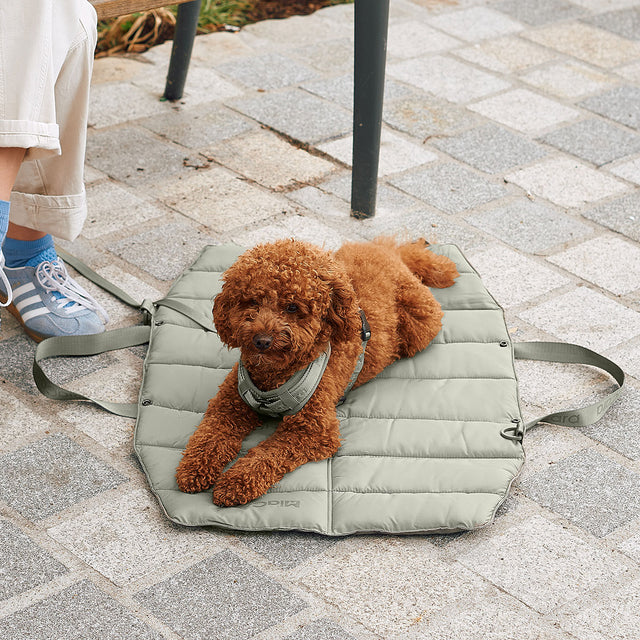 MiaCara Reisedecke Strada, Grolive Hundedecke