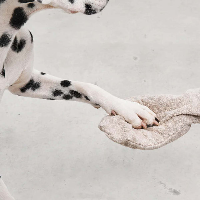 MiaCara Trockenhandschuh Guanto, Greige Hundehandtuch