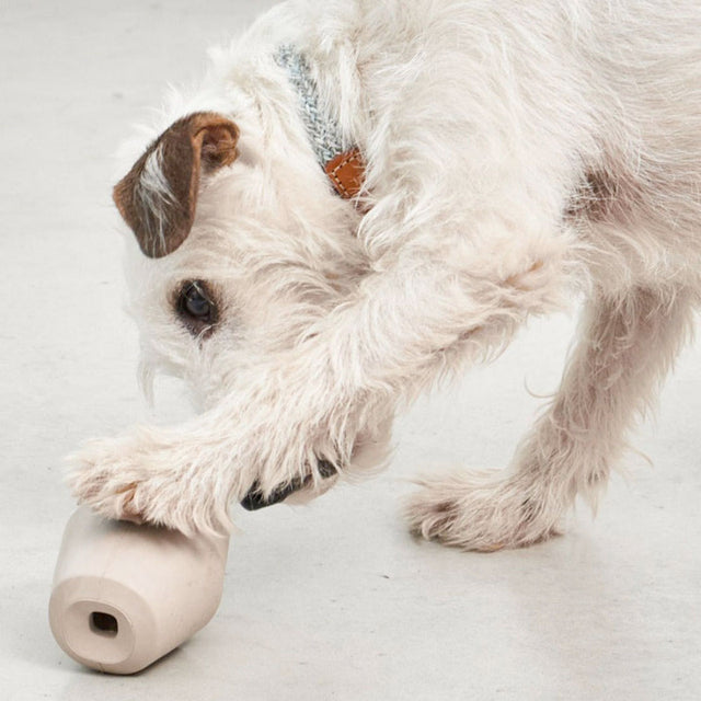 MiaCara Beschäftigungsspielzeug Cono, Greige Interaktiv