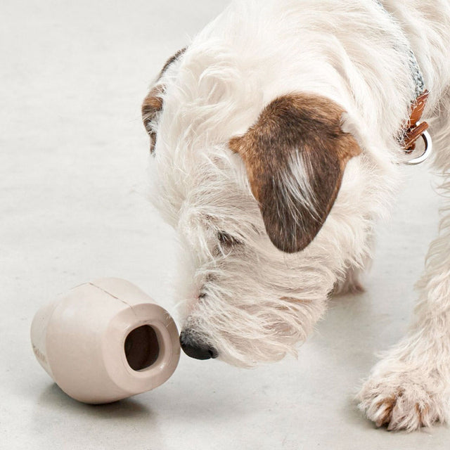 MiaCara Beschäftigungsspielzeug Cono, Greige Interaktiv