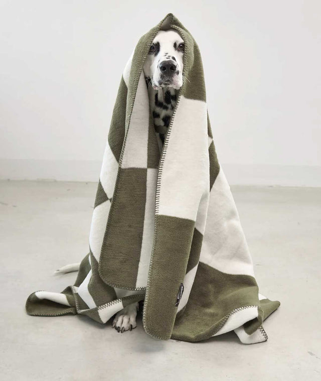 MiaCara Hundedecke Blocco, Grolive Hundedecke