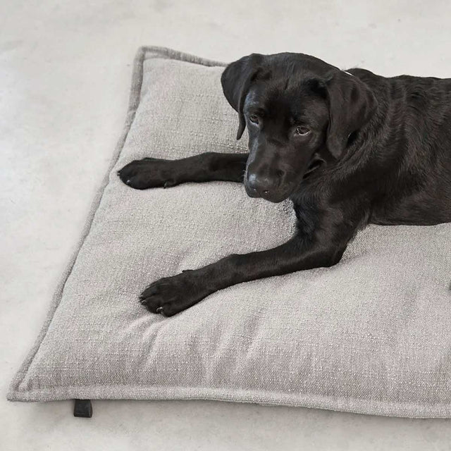 MiaCara Hundekissen Campo, Greige Hundekissen
