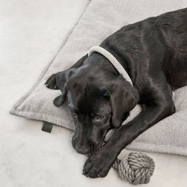 MiaCara Hundekissen Campo, Kiesel Hundekissen