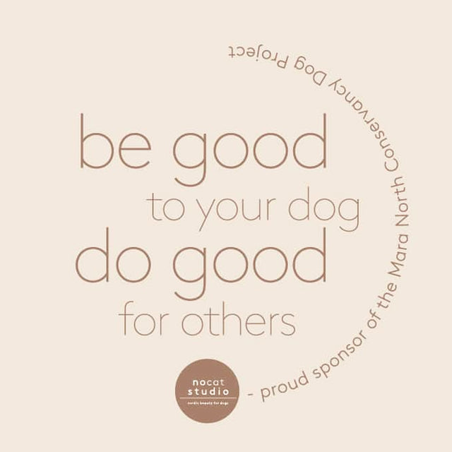 nocat studio Pflegespray, Vand Pflege