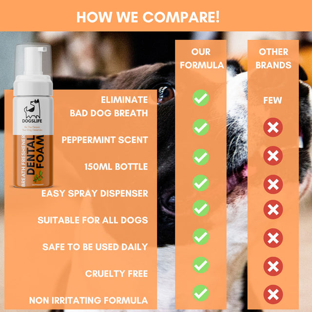 OurDogsLife Dental Foam, Zahnpflegeschaum Zahnpflege für Hunde