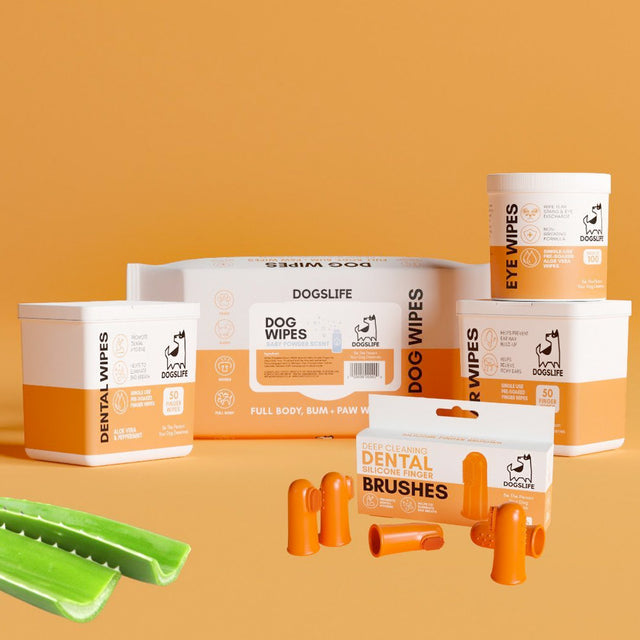 OurDogsLife Dental Wipes, Fingerlinge zur Zahnreinigung Zahnpflege für Hunde