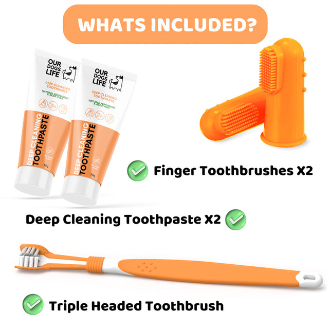 OurDogsLife Complete Dental Care Kit Zahnpflege für Hunde