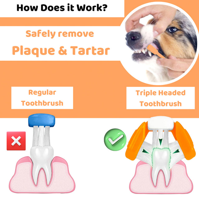 OurDogsLife Complete Dental Care Kit Zahnpflege für Hunde