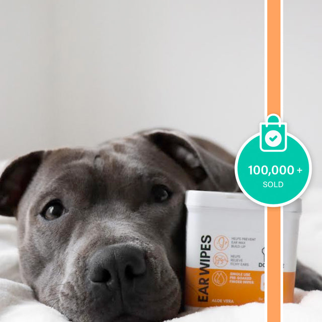 OurDogsLife Ear Wipes Aloe Vera, 50 Stück Ohrenpflege