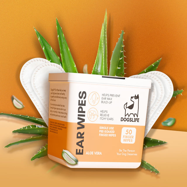OurDogsLife Ear Wipes Aloe Vera, 50 Stück Ohrenpflege