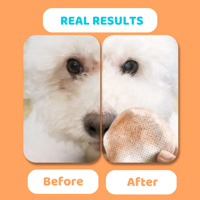 OurDogsLife Eye Wipes Aloe Vera, 100 Stück Pflege