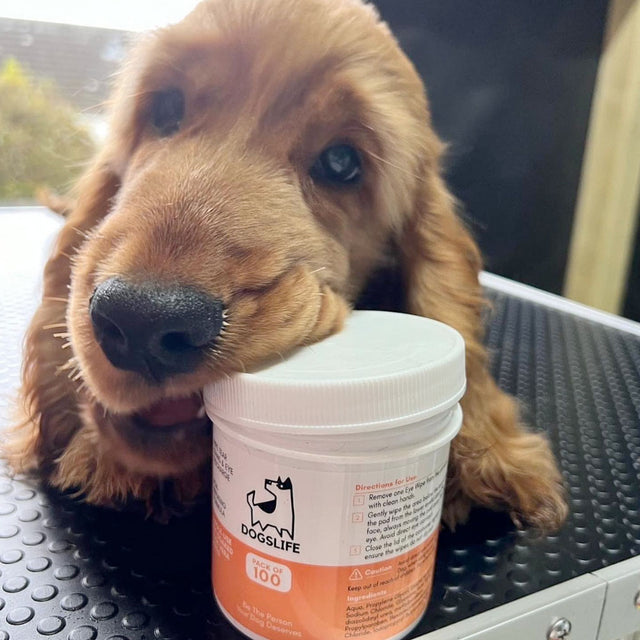 OurDogsLife Eye Wipes Aloe Vera, 100 Stück Pflege