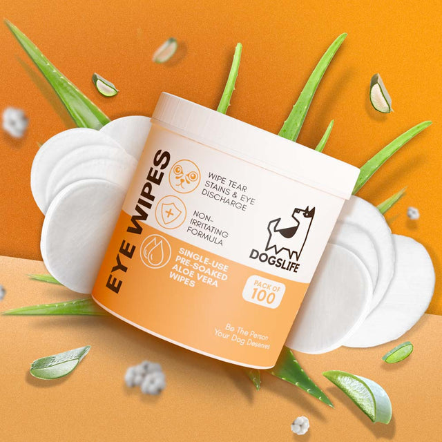 OurDogsLife Eye Wipes Aloe Vera, 100 Stück Pflege