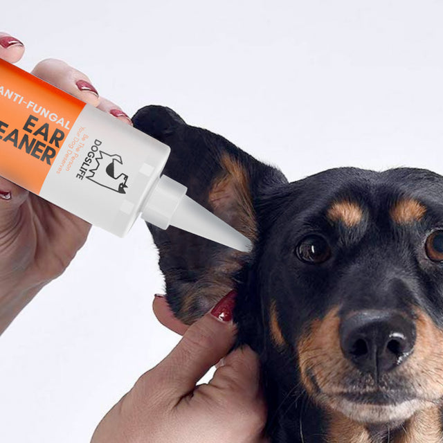 OurDogsLife Ear Cleaner, Ohrenreiniger für Hunde Ohrenpflege