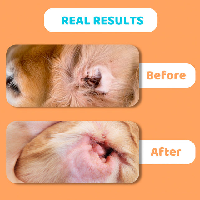 OurDogsLife Ear Cleaner, Ohrenreiniger für Hunde Ohrenpflege