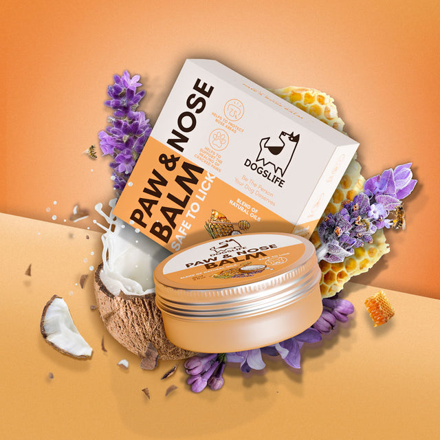 OurDogsLife Paw & Nose Balm, schützt Nase und Pfoten Pfotenpflege