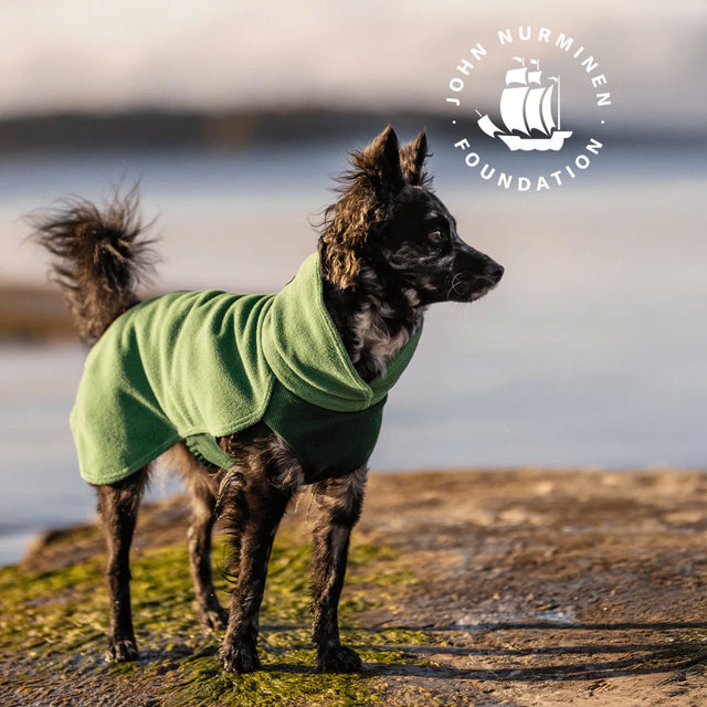 PAIKKA Seawool Shirt, Grün Hundepullover