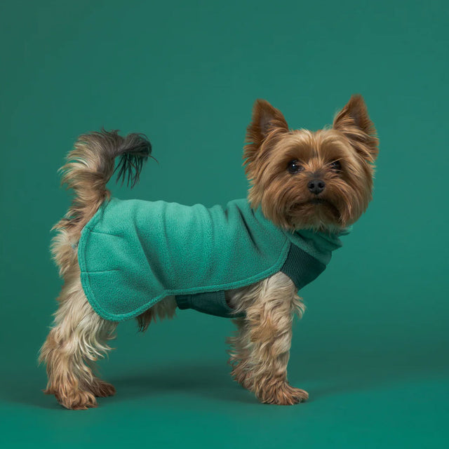 PAIKKA Seawool Shirt, Grün Hundepullover