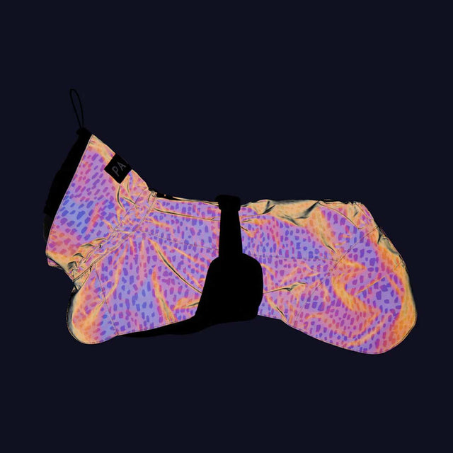 PAIKKA Hunderegenmantel 2.0 Hunderegenmantel