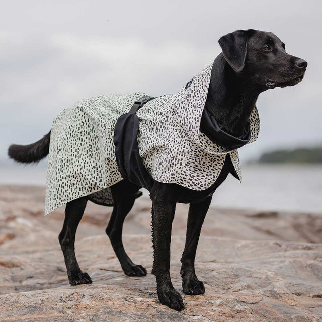 PAIKKA Hunderegenmantel 2.0 Hunderegenmantel