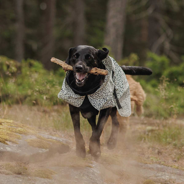 PAIKKA Hunderegenmantel 2.0 Hunderegenmantel