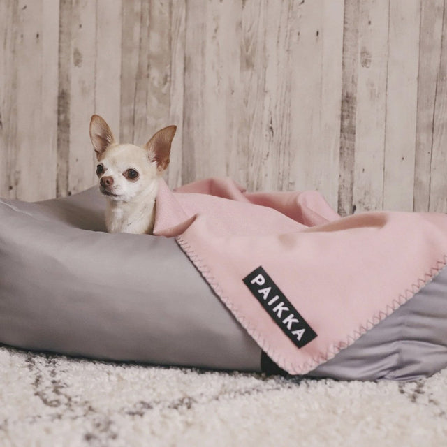 PAIKKA Hundedecke Recovery Blanket Hundedecke