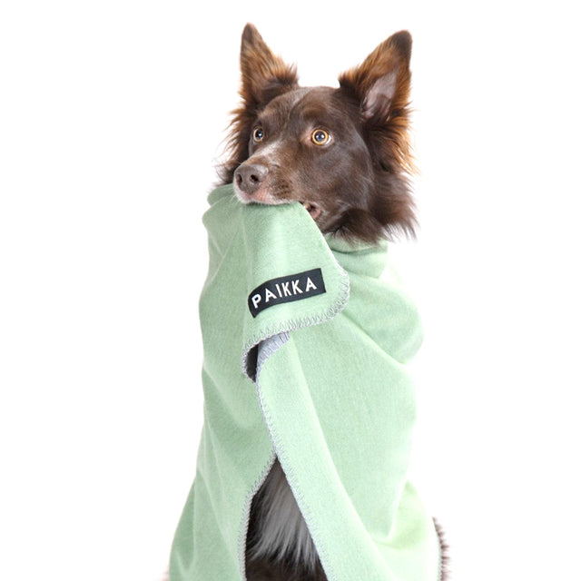 PAIKKA Hundedecke Recovery Blanket Hundedecke