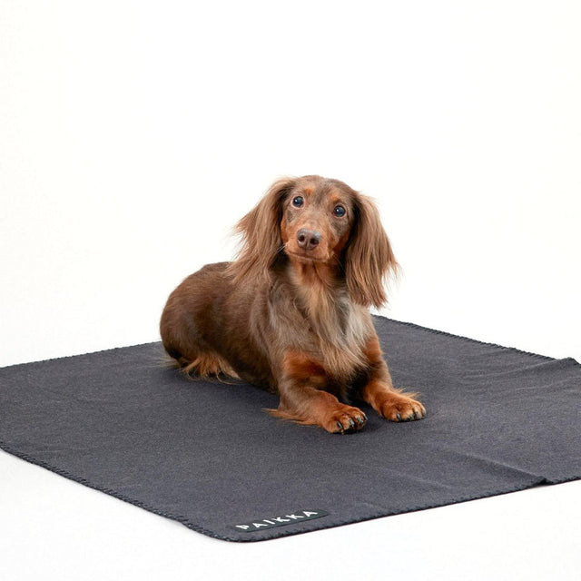 PAIKKA Hundedecke Recovery Blanket Hundedecke