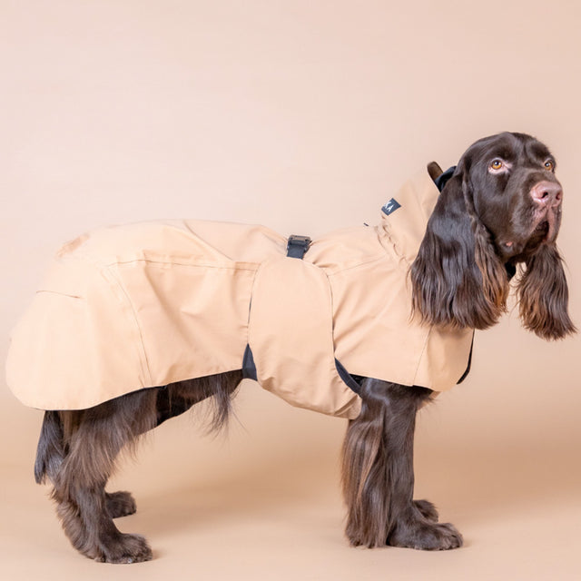 PAIKKA Visibility Hunderegenmantel, Lite Taupe Hunderegenmantel