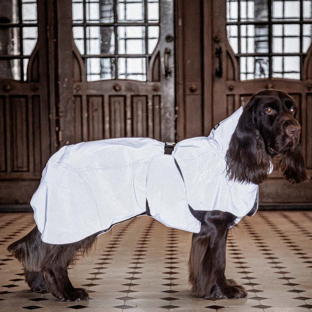 PAIKKA Visibility Hunderegenmantel, Lite Taupe Hunderegenmantel