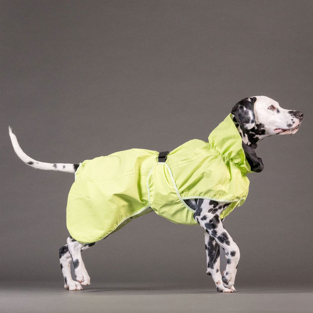 PAIKKA Visibility Hunderegenmantel, Matcha Hunderegenmantel