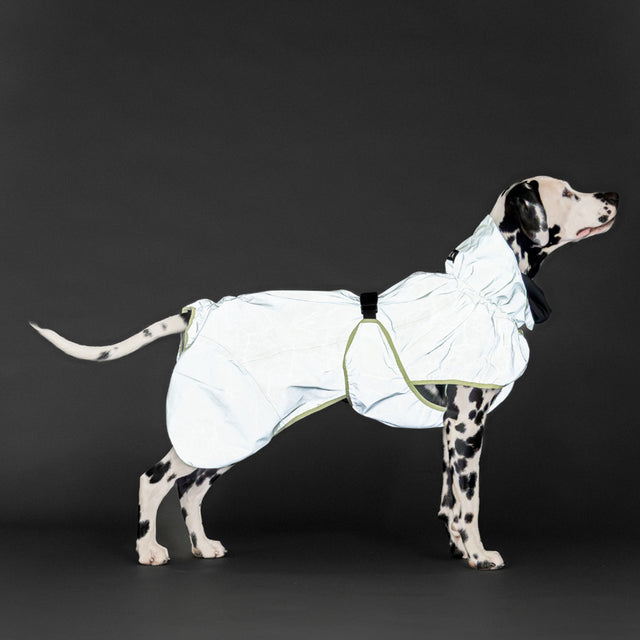 PAIKKA Visibility Hunderegenmantel, Matcha Hunderegenmantel