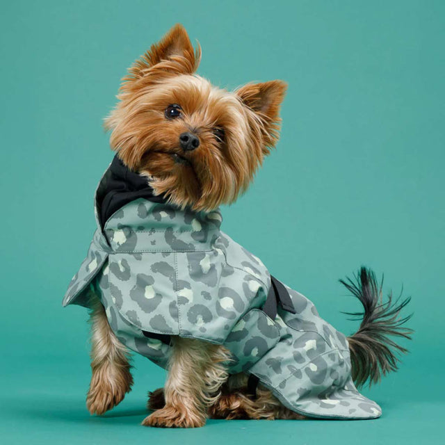 PAIKKA Hundewintermantel, Visibility Green Leo Hundewintermantel