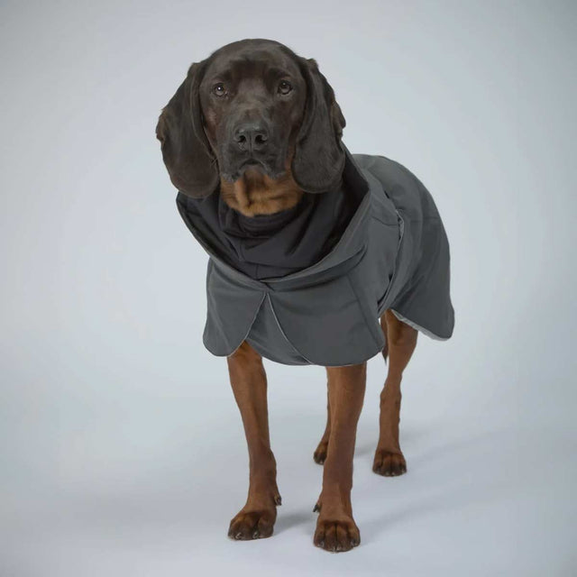 PAIKKA Hundewintermantel, Visibility Dark Hundewintermantel