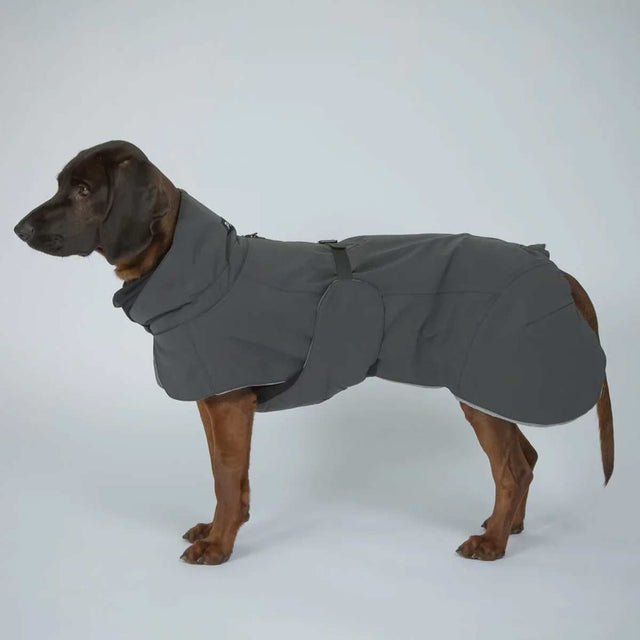 PAIKKA Hundewintermantel, Visibility Dark Hundewintermantel