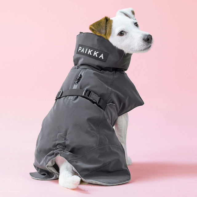 PAIKKA Hundewintermantel, Visibility Dark Hundewintermantel