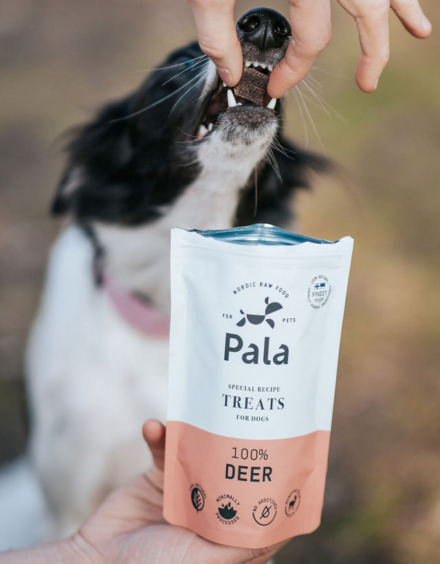 Pala Hundeleckerli Deer Treats, 100g Fleischsnacks