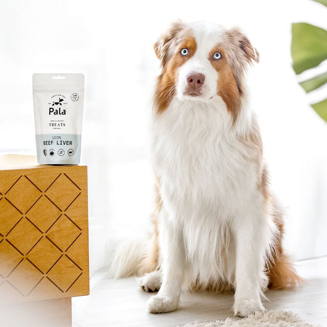 Pala Hundeleckerli Beef Liver, 100g