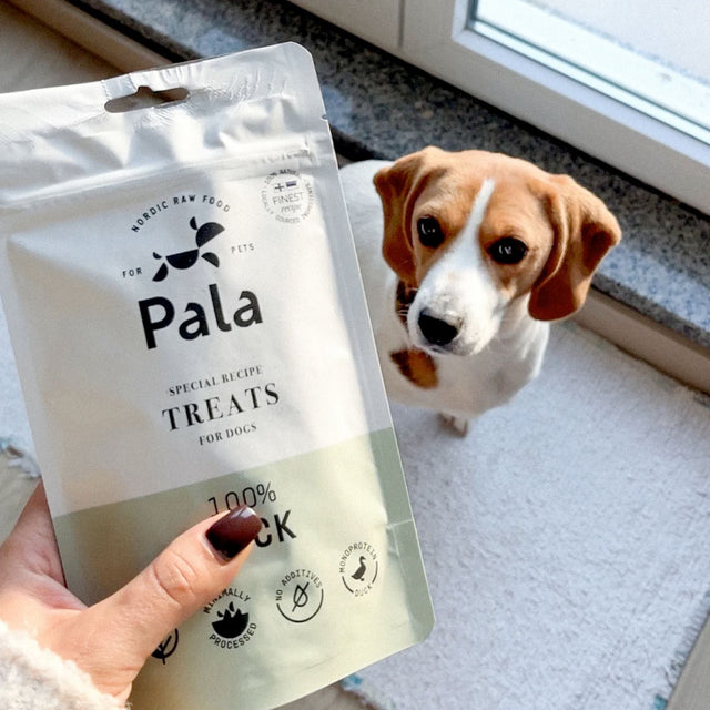 Pala Hundeleckerli Duck Treats, 100g