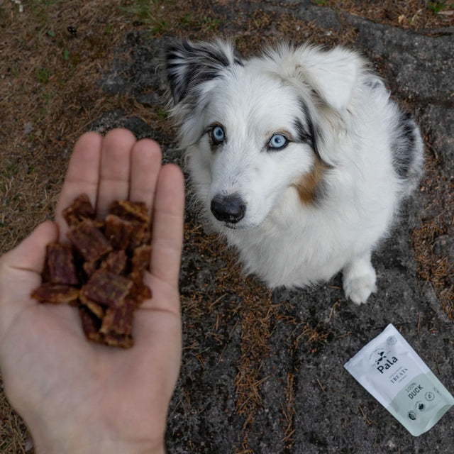 Pala Hundeleckerli Duck Treats, 100g