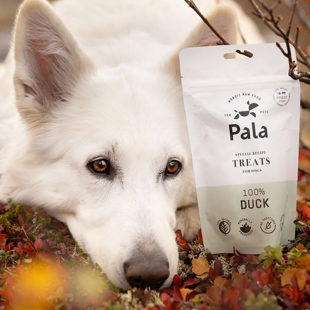 Pala Hundeleckerli Duck Treats, 100g