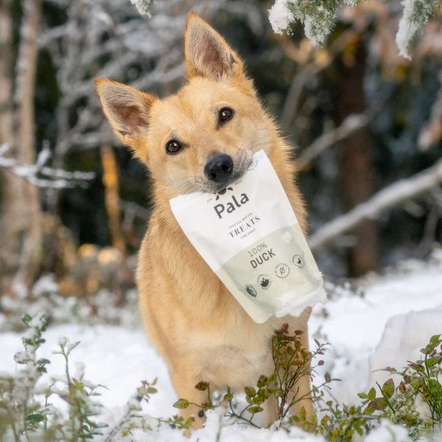 Pala Hundeleckerli Duck Treats, 100g