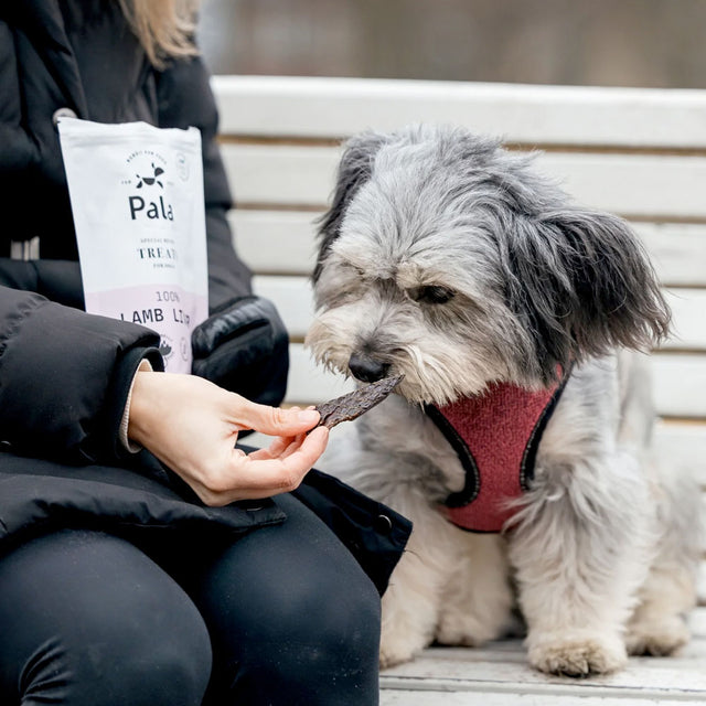 Pala Hundeleckerli Lamb Liver, 100g