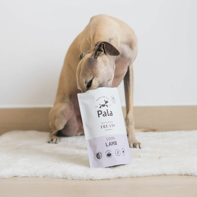 Pala Hundeleckerli Lamb Treats, 100g
