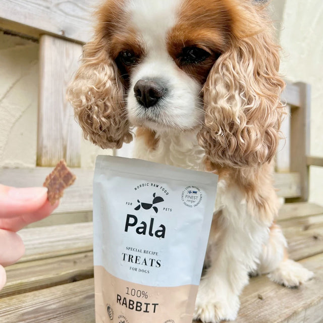 Pala Hundeleckerli Rabbit Treats, 100g